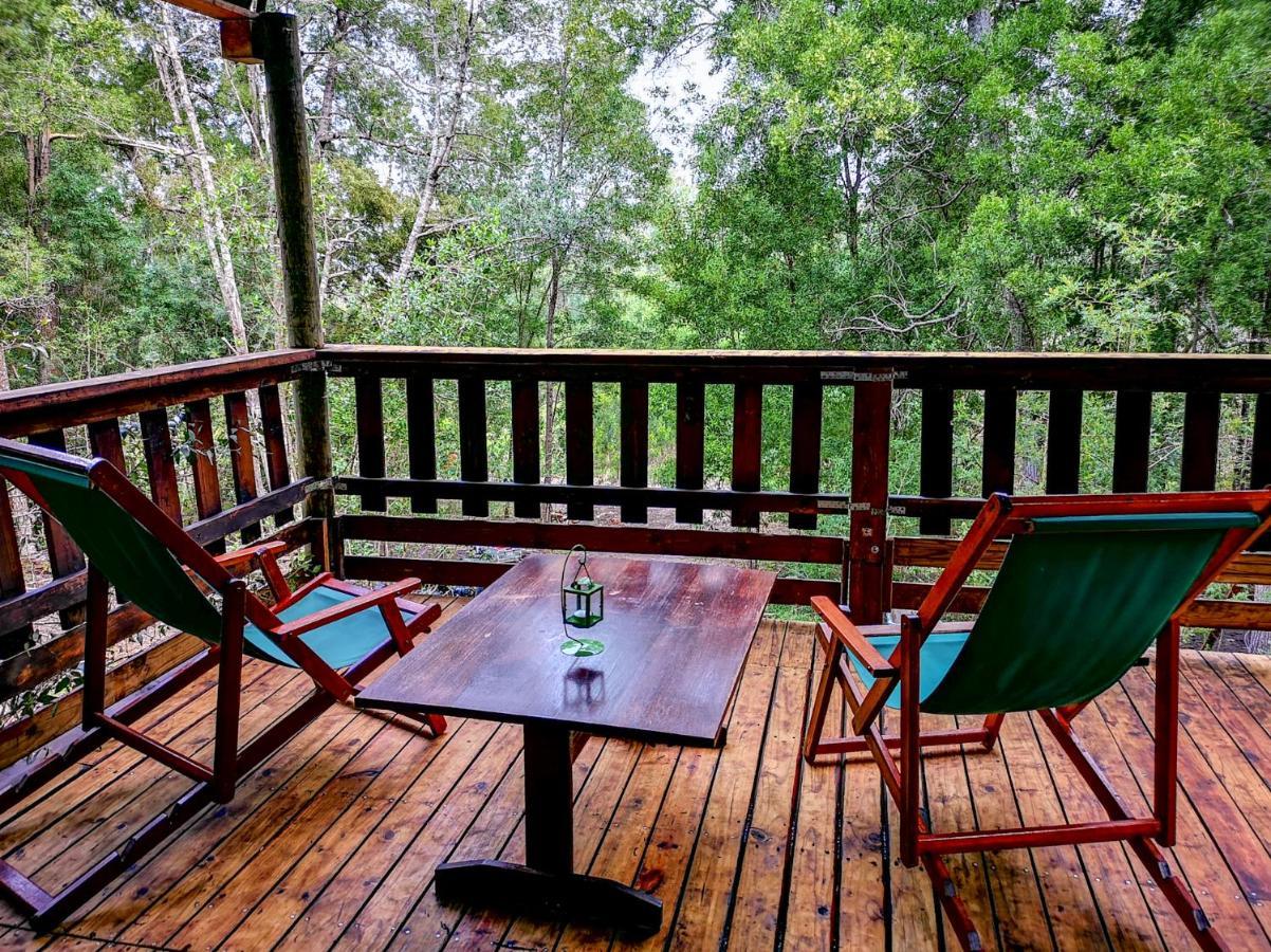 Rheenendal Fernhill Tented Treehouses מראה חיצוני תמונה