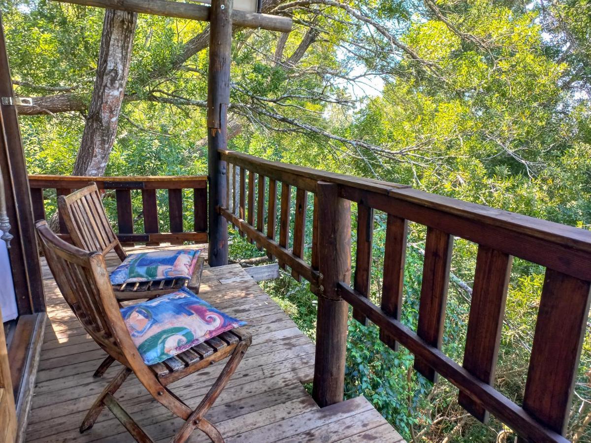 Rheenendal Fernhill Tented Treehouses מראה חיצוני תמונה