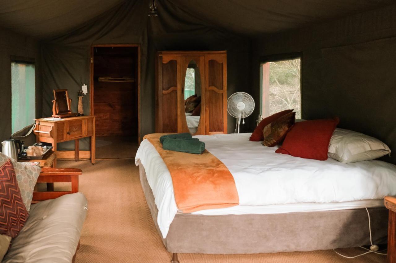 Rheenendal Fernhill Tented Treehouses מראה חיצוני תמונה