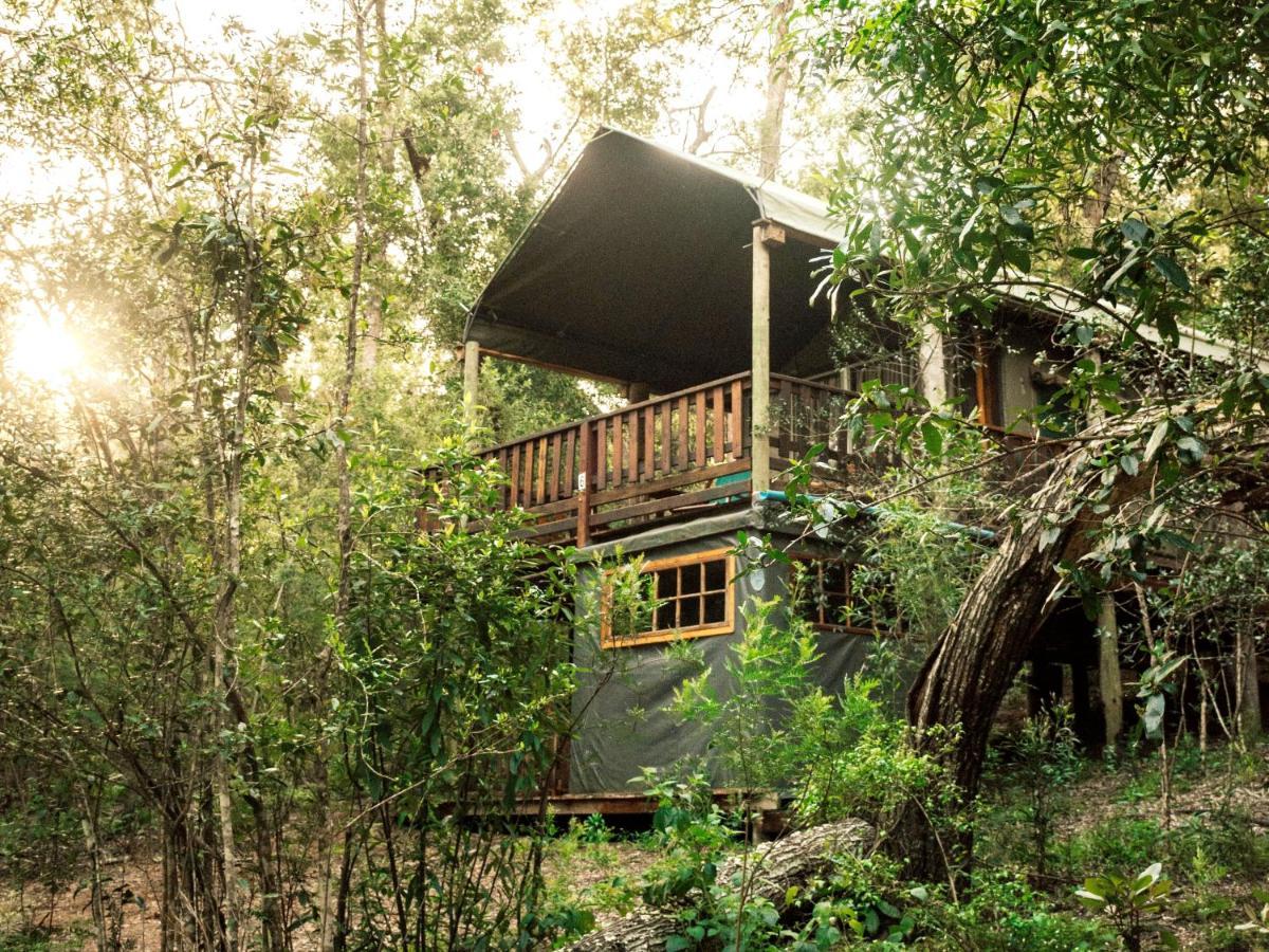 Rheenendal Fernhill Tented Treehouses מראה חיצוני תמונה