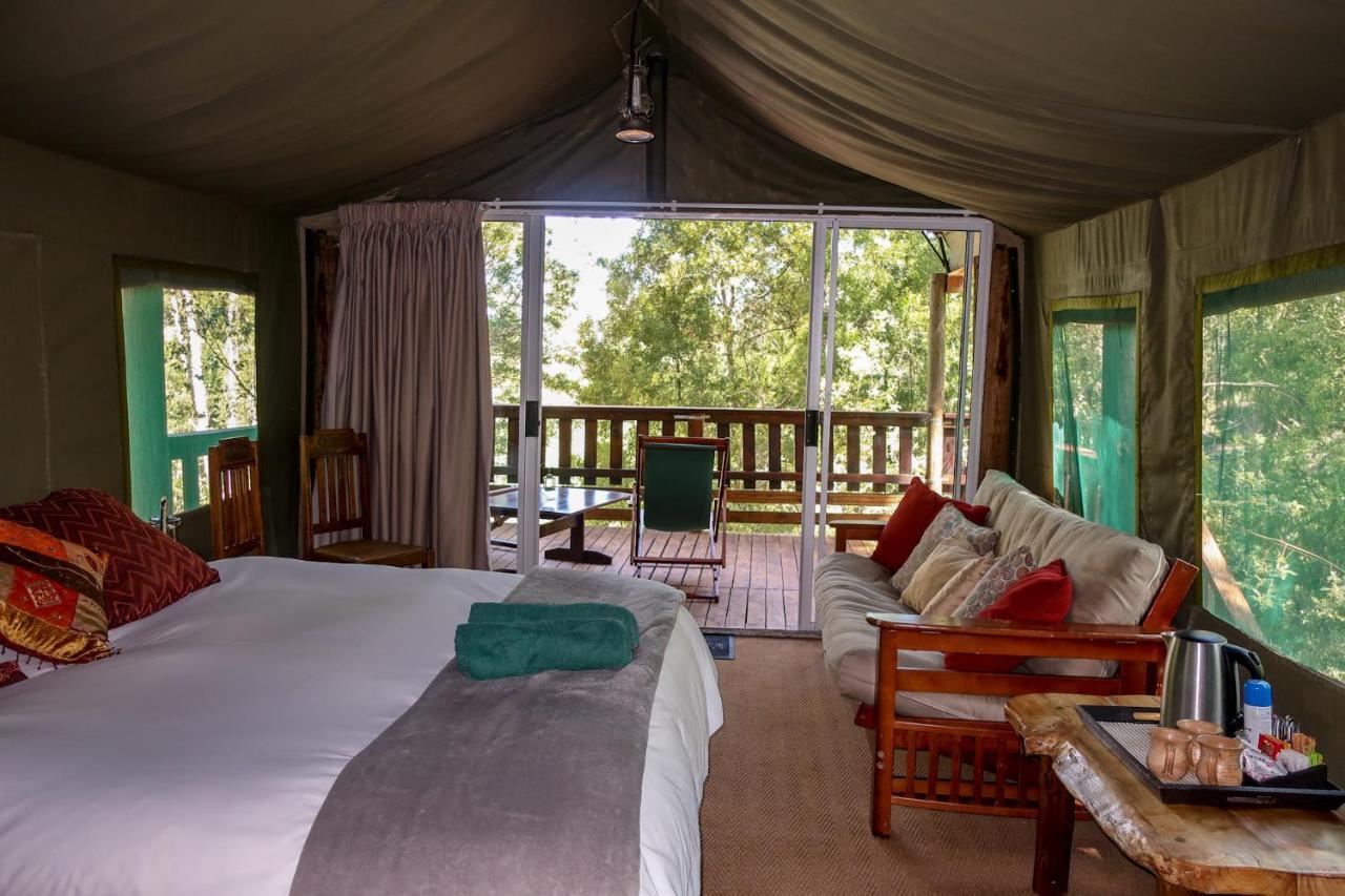 Rheenendal Fernhill Tented Treehouses מראה חיצוני תמונה