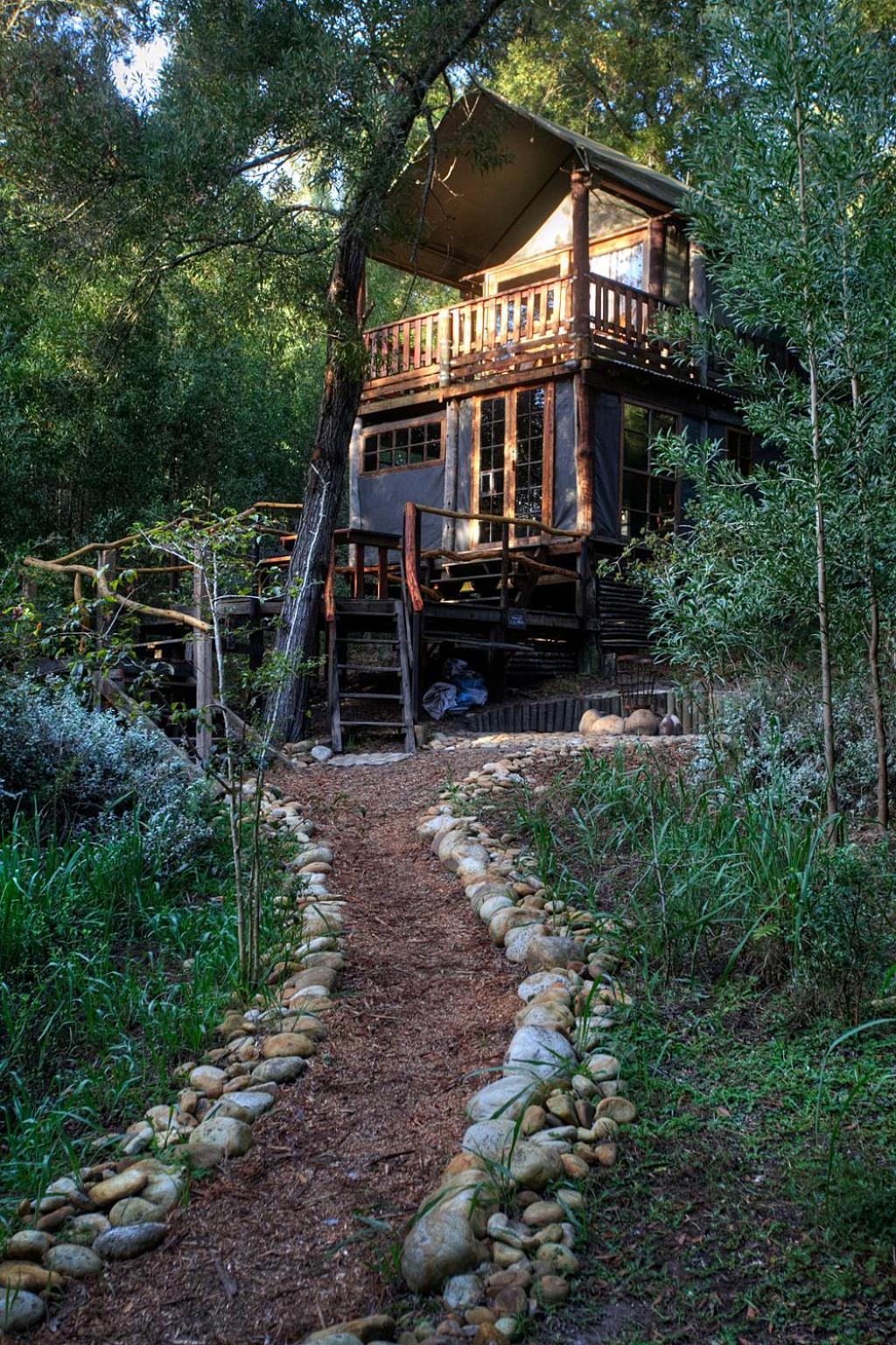 Rheenendal Fernhill Tented Treehouses חדר תמונה