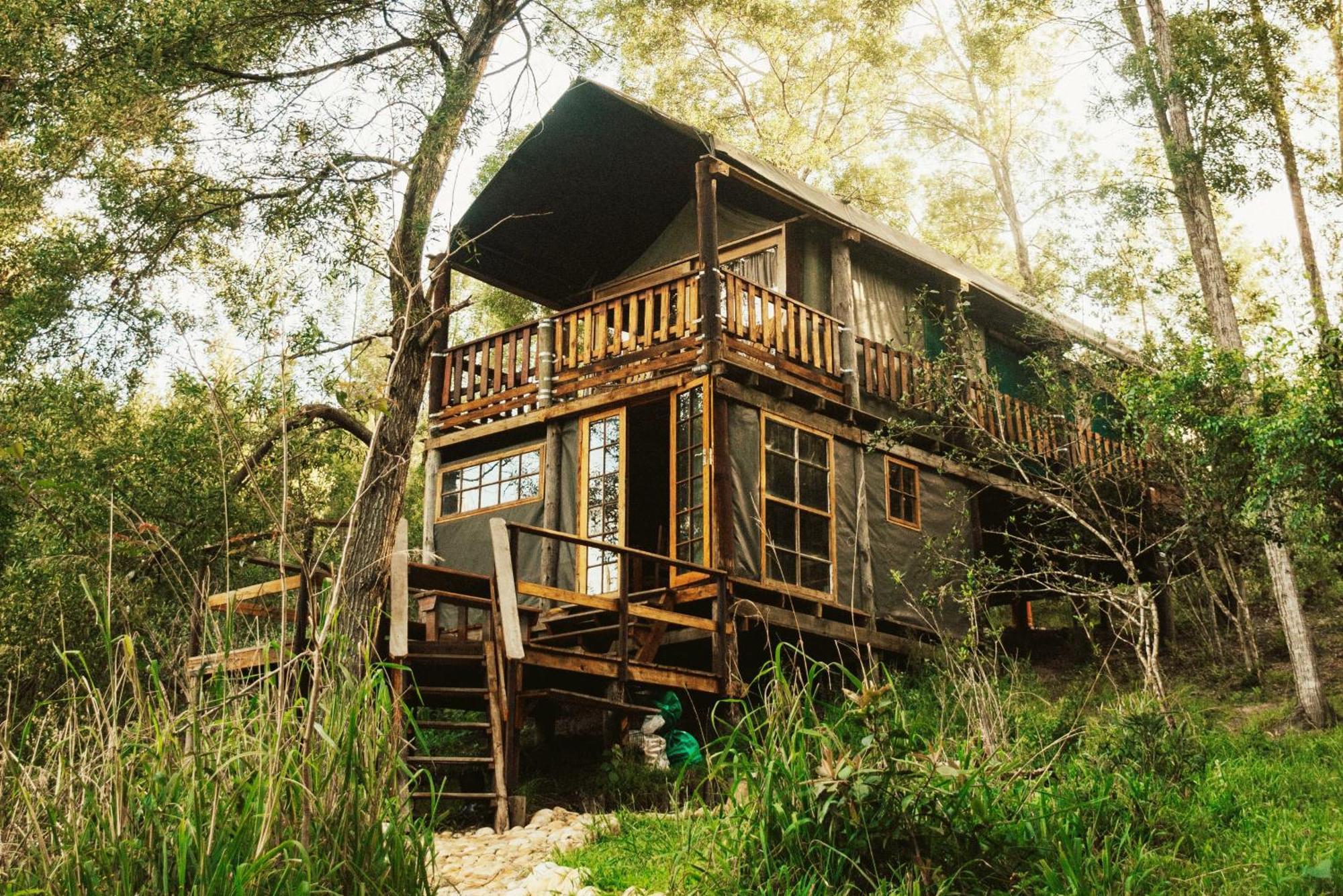 Rheenendal Fernhill Tented Treehouses מראה חיצוני תמונה