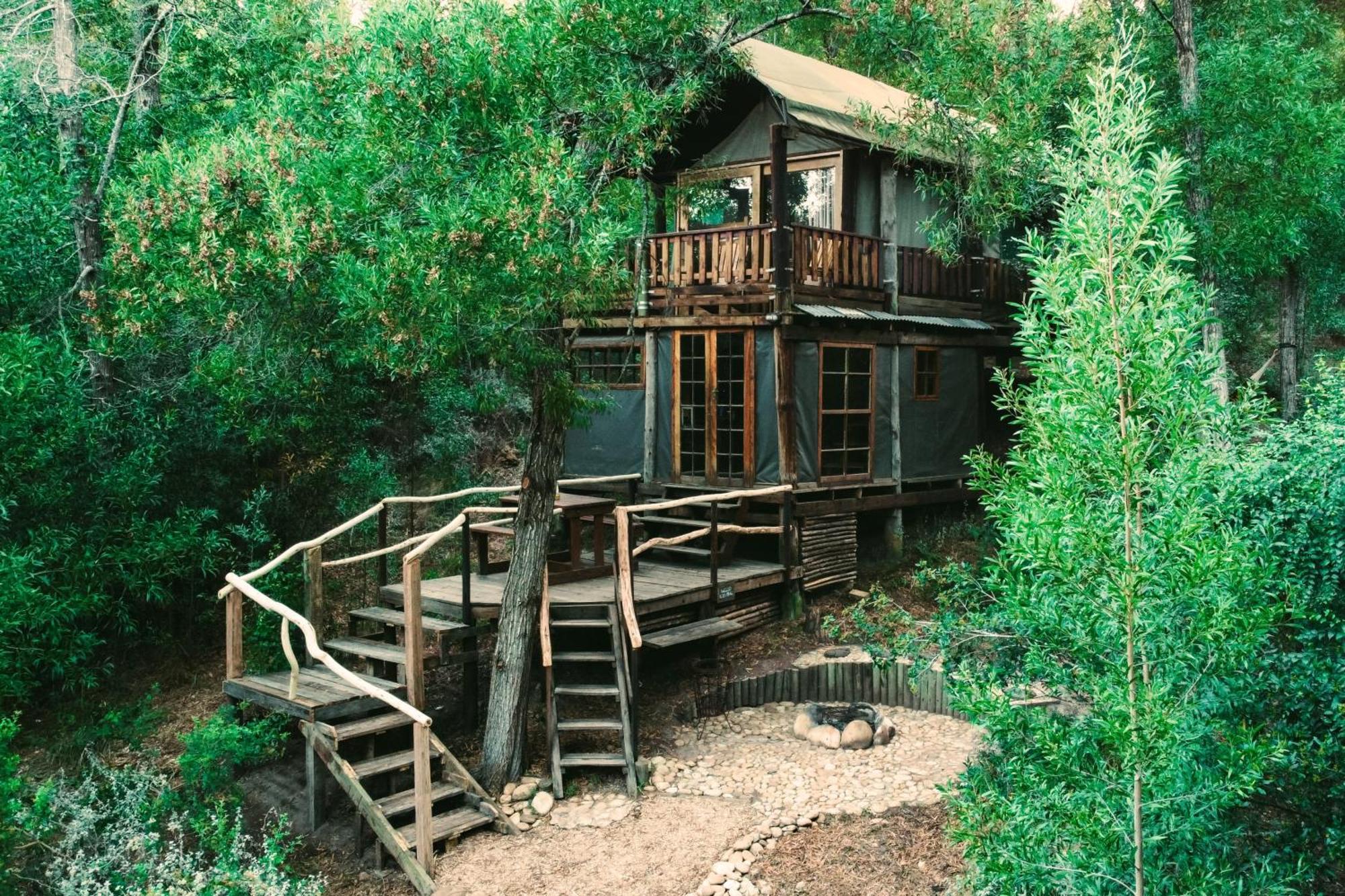 Rheenendal Fernhill Tented Treehouses מראה חיצוני תמונה