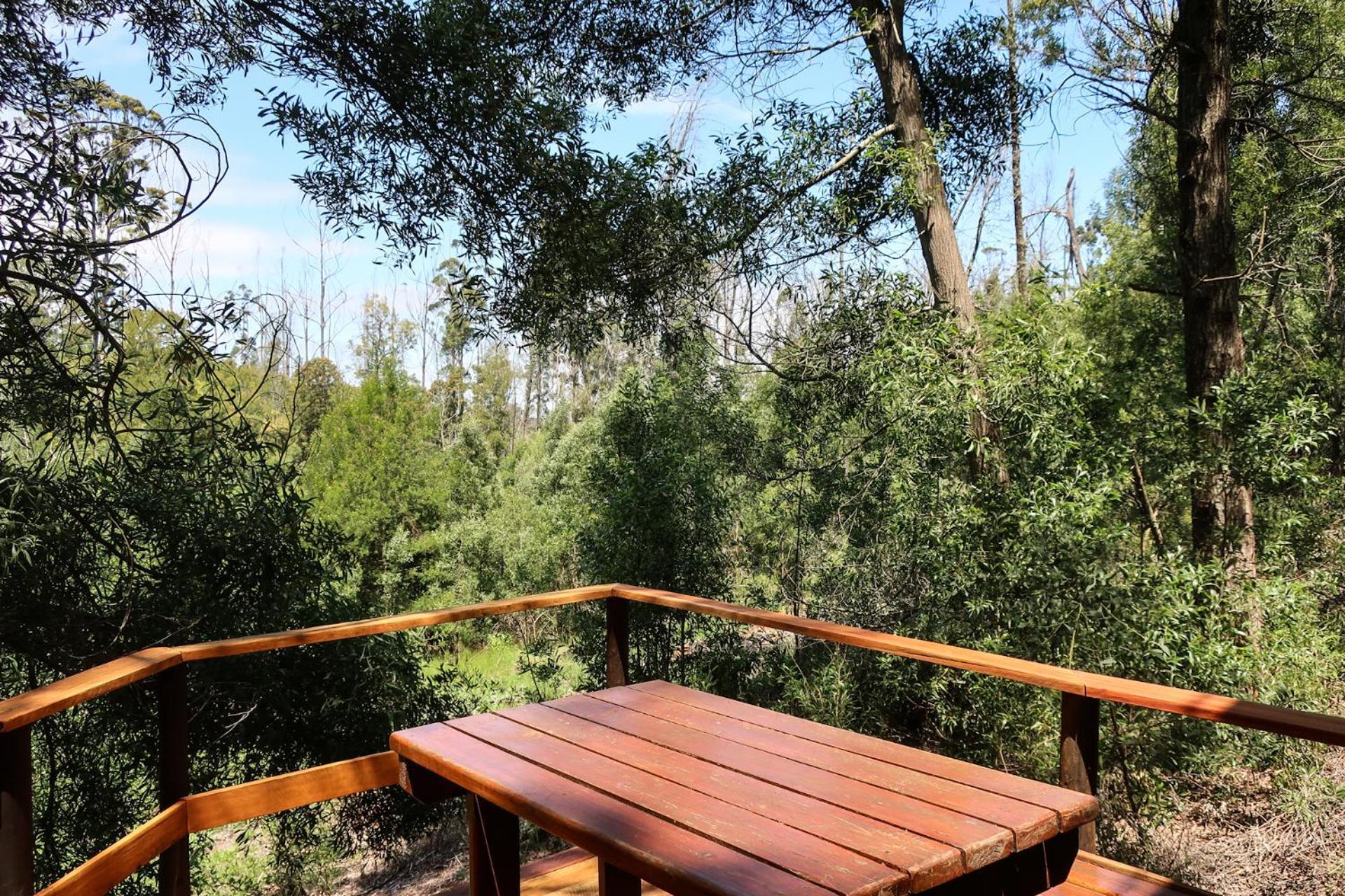Rheenendal Fernhill Tented Treehouses מראה חיצוני תמונה